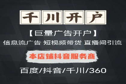 百度SEO推广公司经典之作：打造行业领先品牌
